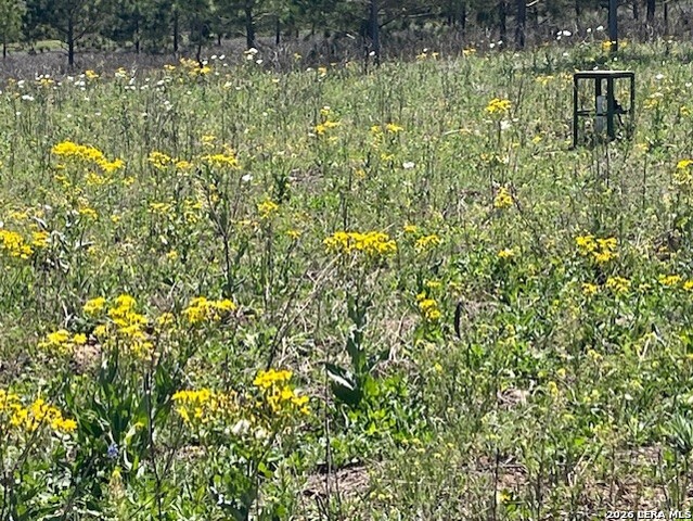 Image 4 of 20 For 6611 Fm 1681