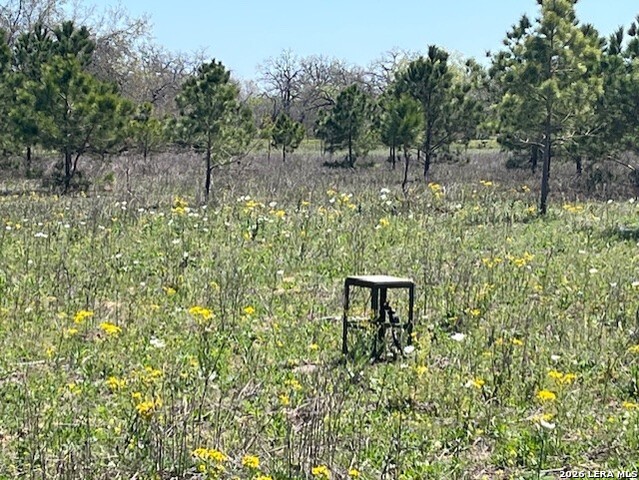 Image 6 of 20 For 6611 Fm 1681