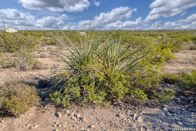 Listing photo id 10 for Tbd Salem Point Drive