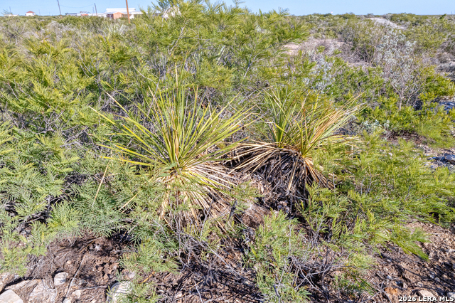 Listing photo id 11 for Tbd Salem Point Drive