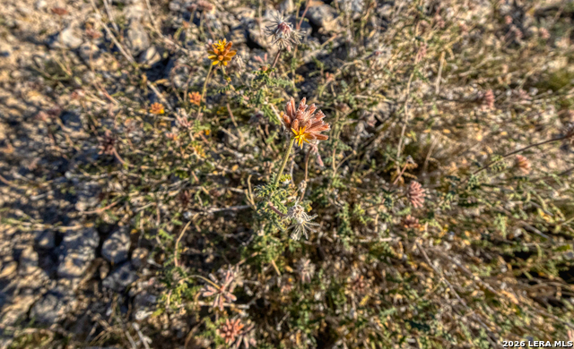 Listing photo id 13 for Tbd Salem Point Drive