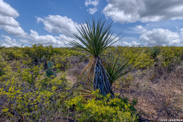 Listing photo id 5 for Tbd Salem Point Drive