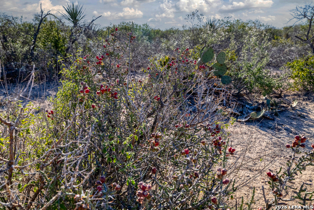 Listing photo id 6 for Tbd Salem Point Drive