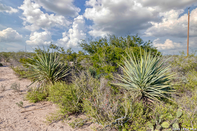 Listing photo id 7 for Tbd Salem Point Drive