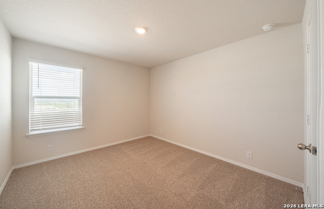 Image 10 of 23 For 398 American Robin