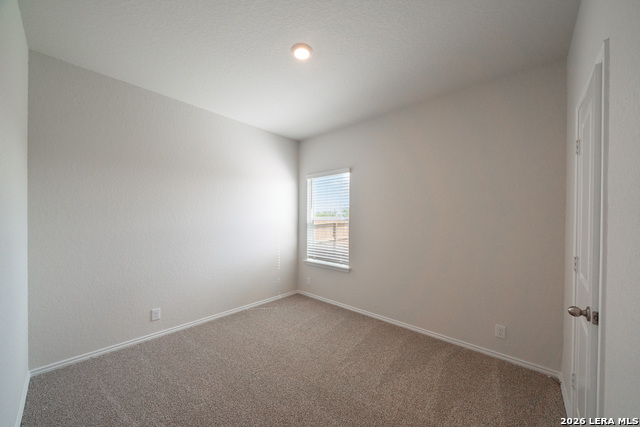 Image 15 of 23 For 398 American Robin