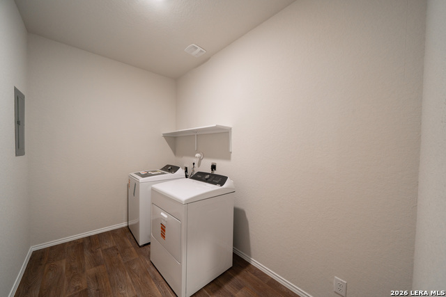 Image 19 of 23 For 398 American Robin