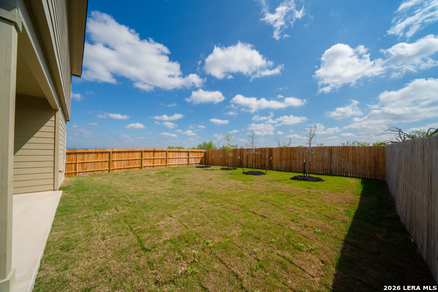 Image 21 of 23 For 398 American Robin