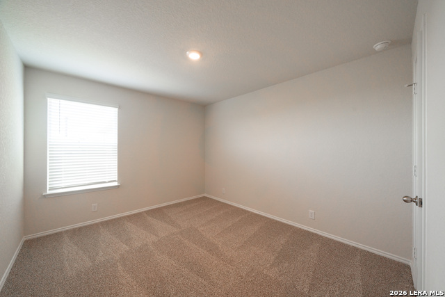 Image 8 of 23 For 398 American Robin