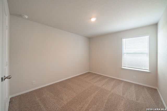 Image 9 of 23 For 398 American Robin