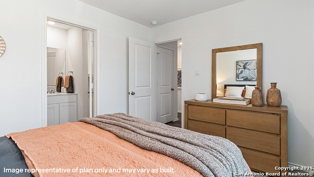 Image 15 of 19 For 14812 Gold Lace Cactus