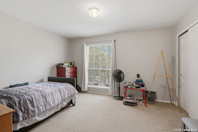 Image 11 of 17 For 10318 Tiger Hunt