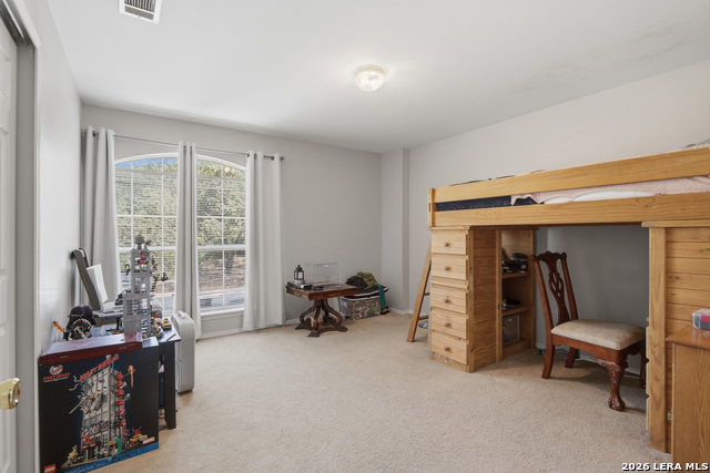 Image 13 of 17 For 10318 Tiger Hunt