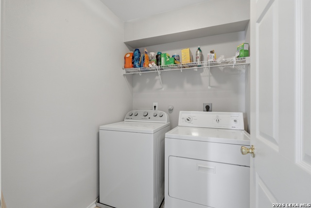 Image 7 of 17 For 10318 Tiger Hunt