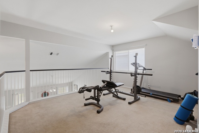 Image 8 of 17 For 10318 Tiger Hunt