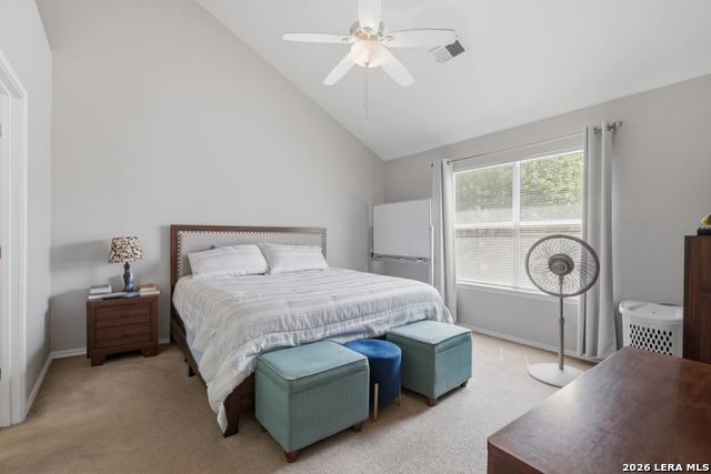 Image 9 of 17 For 10318 Tiger Hunt