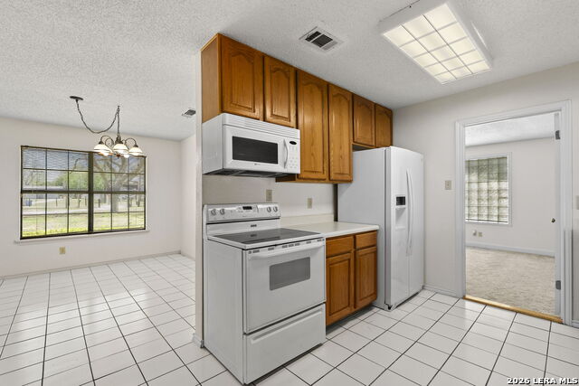 Image 21 of 58 For 1309 Zipp E