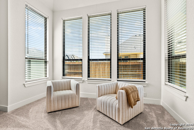 Image 24 of 63 For 507 Caliban  