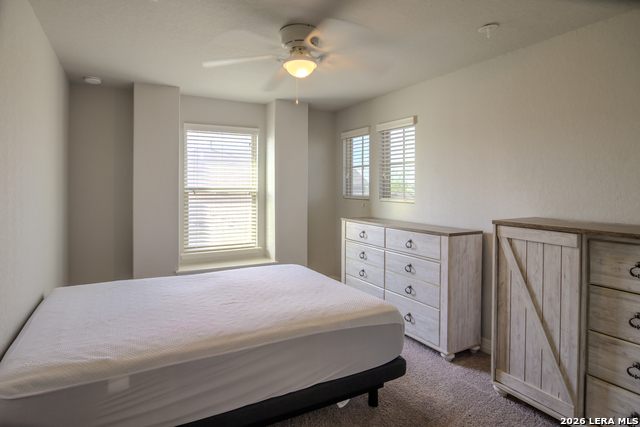 Image 13 of 19 For 1306 Begonia