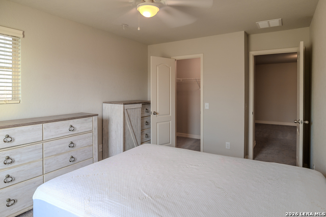 Image 14 of 19 For 1306 Begonia