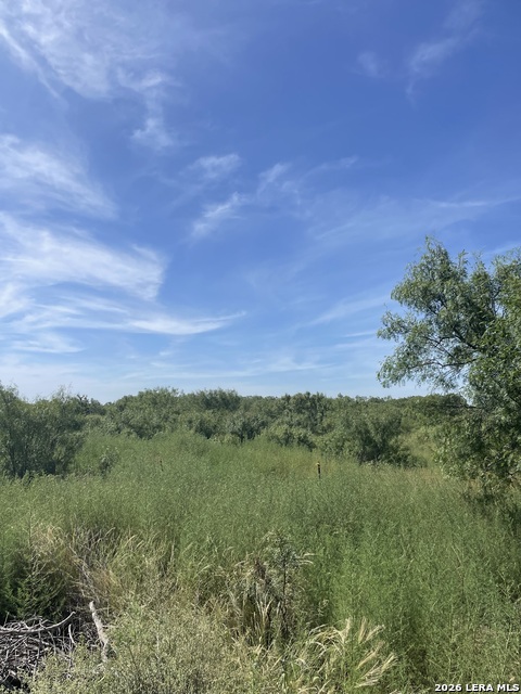 Image 4 of 4 For 14150 Meadowview Drive