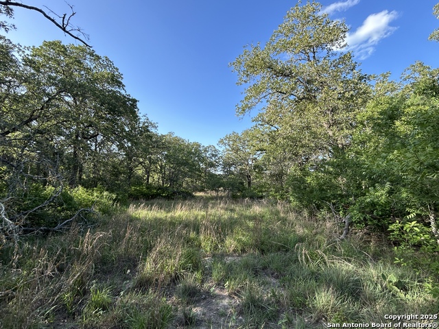 Details for 175 Smith  , La Vernia, TX 78121