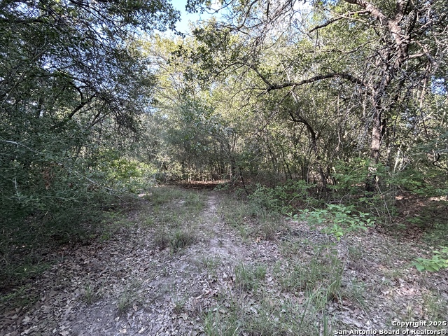 Image 2 of 9 For 175 Smith  