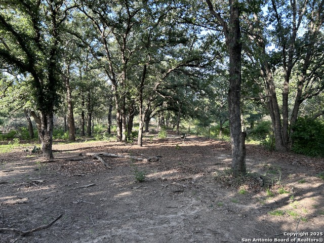 Image 4 of 9 For 175 Smith  