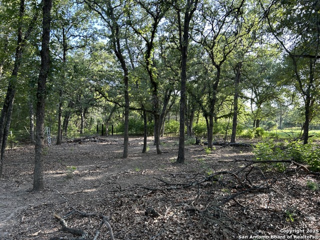 Image 5 of 9 For 175 Smith  