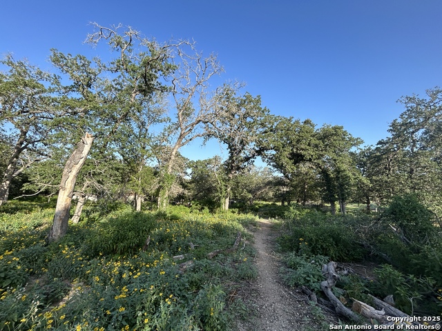 Image 7 of 9 For 175 Smith  