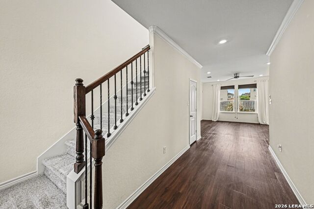 Image 5 of 44 For 11334 Sprightly