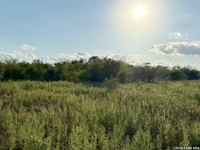 Details for 0 Cr 132  , Kenedy, TX 78119