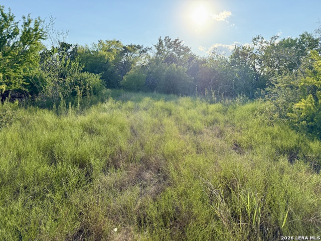 Image 10 of 11 For 0 Cr 132  