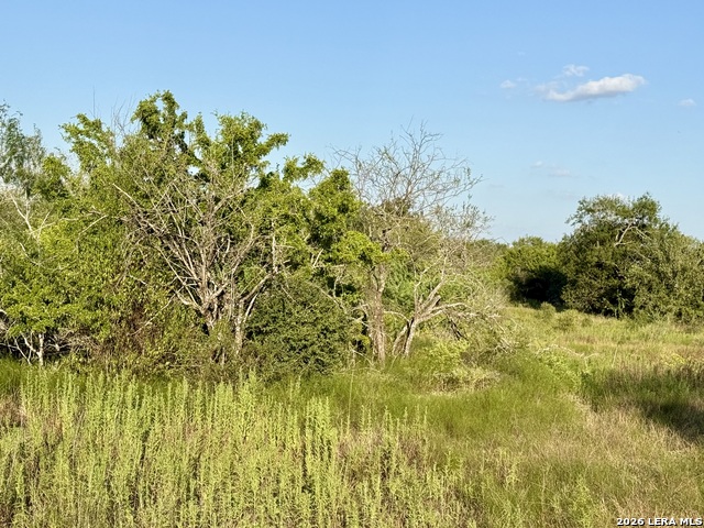 Image 2 of 11 For 0 Cr 132  