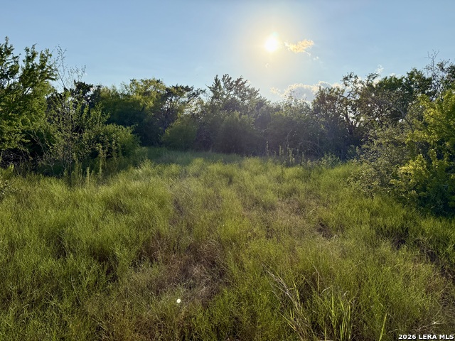 Image 3 of 11 For 0 Cr 132  