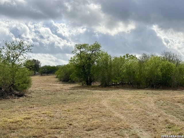 Image 5 of 11 For 0 Cr 132  