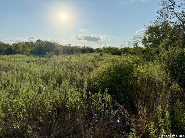 Image 6 of 11 For 0 Cr 132  