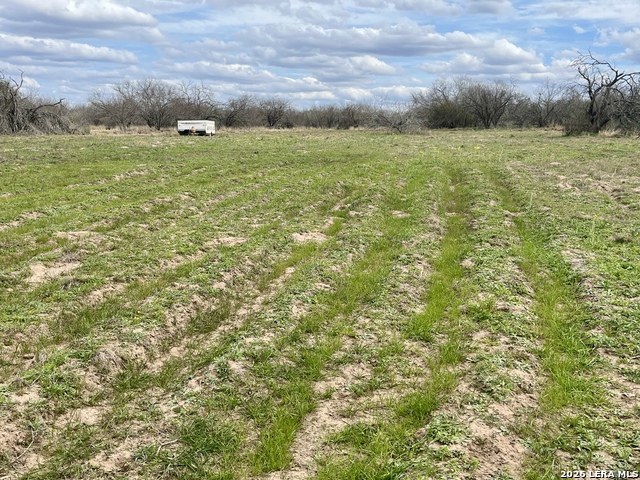 Image 8 of 11 For 0 Cr 132  