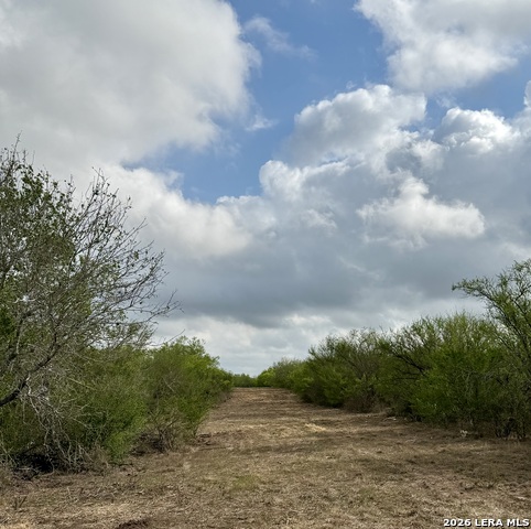 Image 9 of 11 For 0 Cr 132  