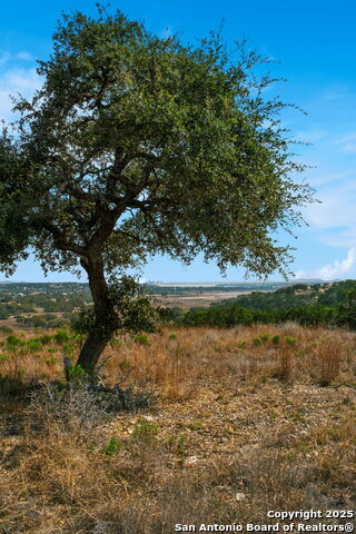 Image 12 of 32 For 507 Gray Fox