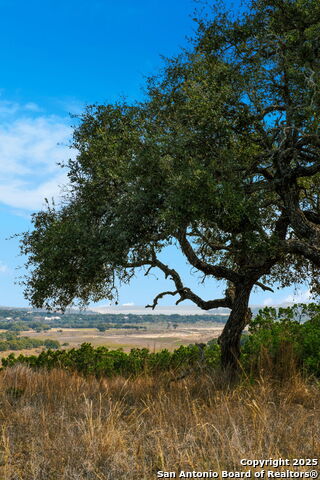 Image 13 of 32 For 507 Gray Fox