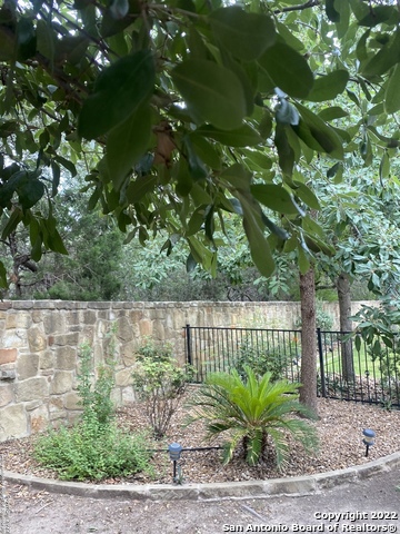 Image 38 of 39 For 12815 Sand Holly