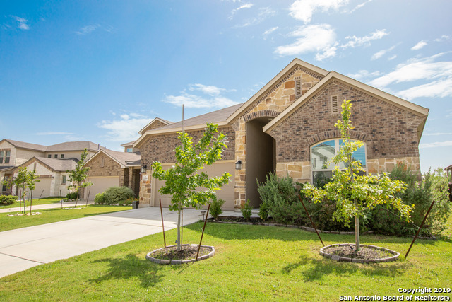 Image 2 of 25 For 22419 Carriage Bush