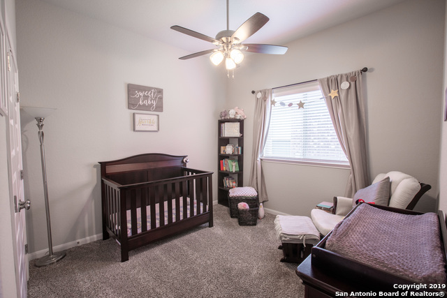 Image 20 of 25 For 22419 Carriage Bush