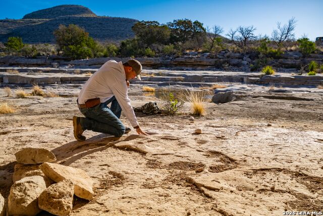 Image 19 of 37 For 000 Pandale Hwy