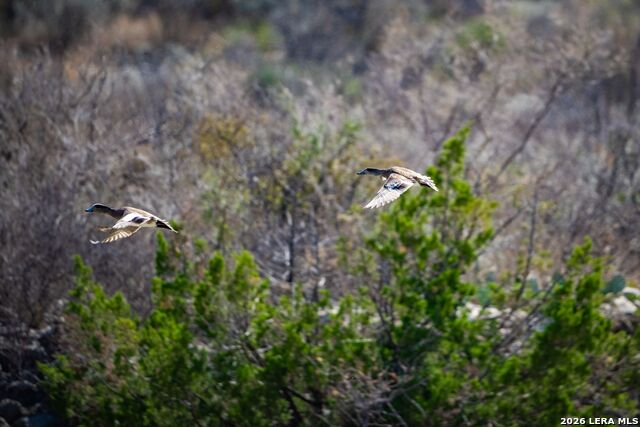 Image 21 of 37 For 000 Pandale Hwy
