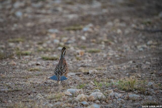 Image 22 of 37 For 000 Pandale Hwy
