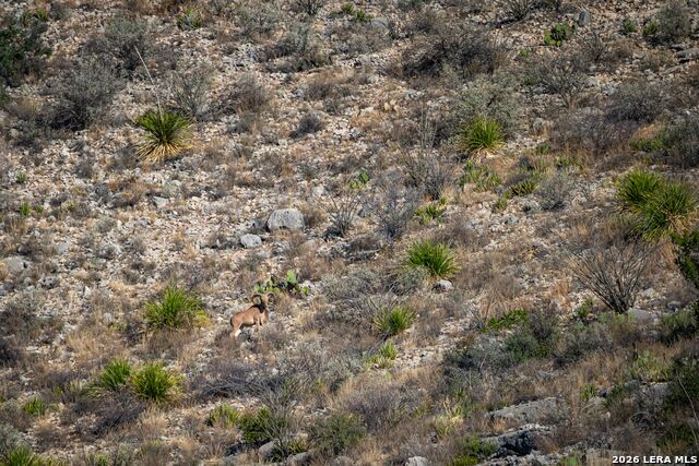 Image 23 of 37 For 000 Pandale Hwy