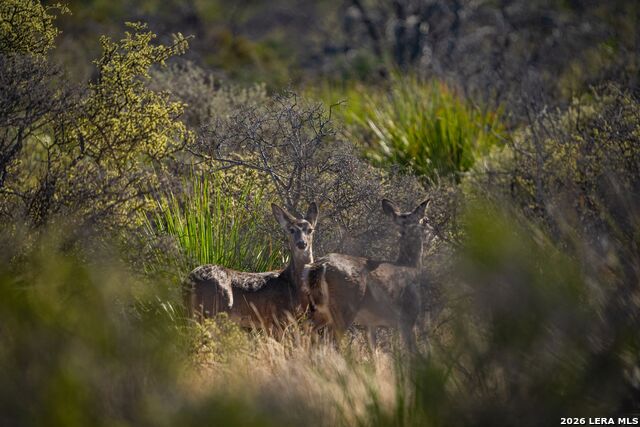 Image 24 of 37 For 000 Pandale Hwy