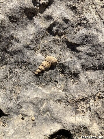 Image 27 of 37 For 000 Pandale Hwy